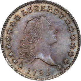 1795 Flowing Hair Half Dollar